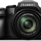 Panasonic LUMIX FZ80D - Cámara digital para apuntar y disparar, grabación de foto/video 4K con estabilizador de imagen óptico de potencia